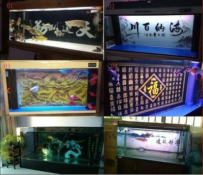 龍魚之家店的員工情況如何？：關(guān)于龍魚之家店員工的一些情況