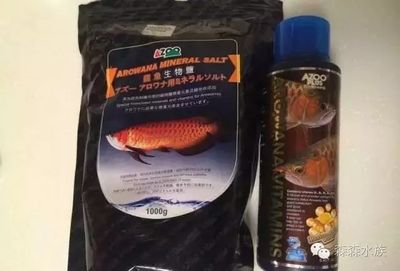 龍魚維生素的使用方法：關(guān)于龍魚維生素的使用