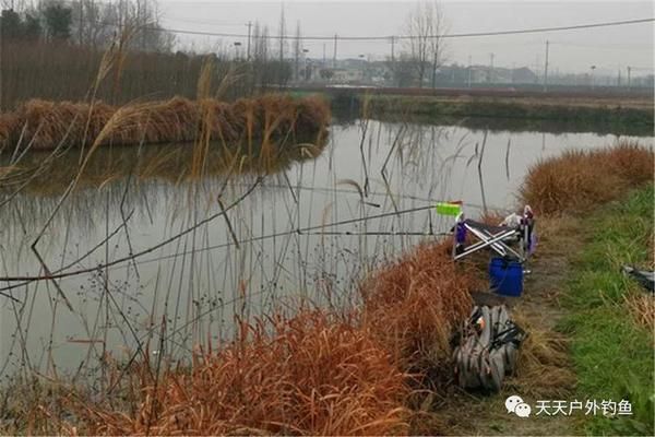 白龍魚白龍魚垂釣的最佳天氣因季節(jié)而異，適合夏季釣魚：白龍魚垂釣的最佳天氣 龍魚百科 第3張