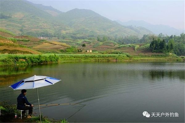 白龍魚白龍魚垂釣的最佳天氣因季節(jié)而異，適合夏季釣魚：白龍魚垂釣的最佳天氣 龍魚百科 第2張