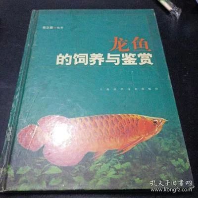 龍魚飼養(yǎng)與鑒賞作文三年級上冊：龍魚的飼養(yǎng)與鑒賞 龍魚百科 第2張