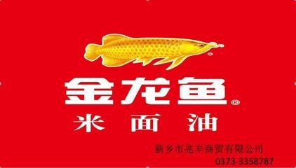 山西省金龍魚總代理聯系方式可以通過以下途徑獲?。荷轿魇〗瘕堲~總代理怎么找 龍魚百科 第1張