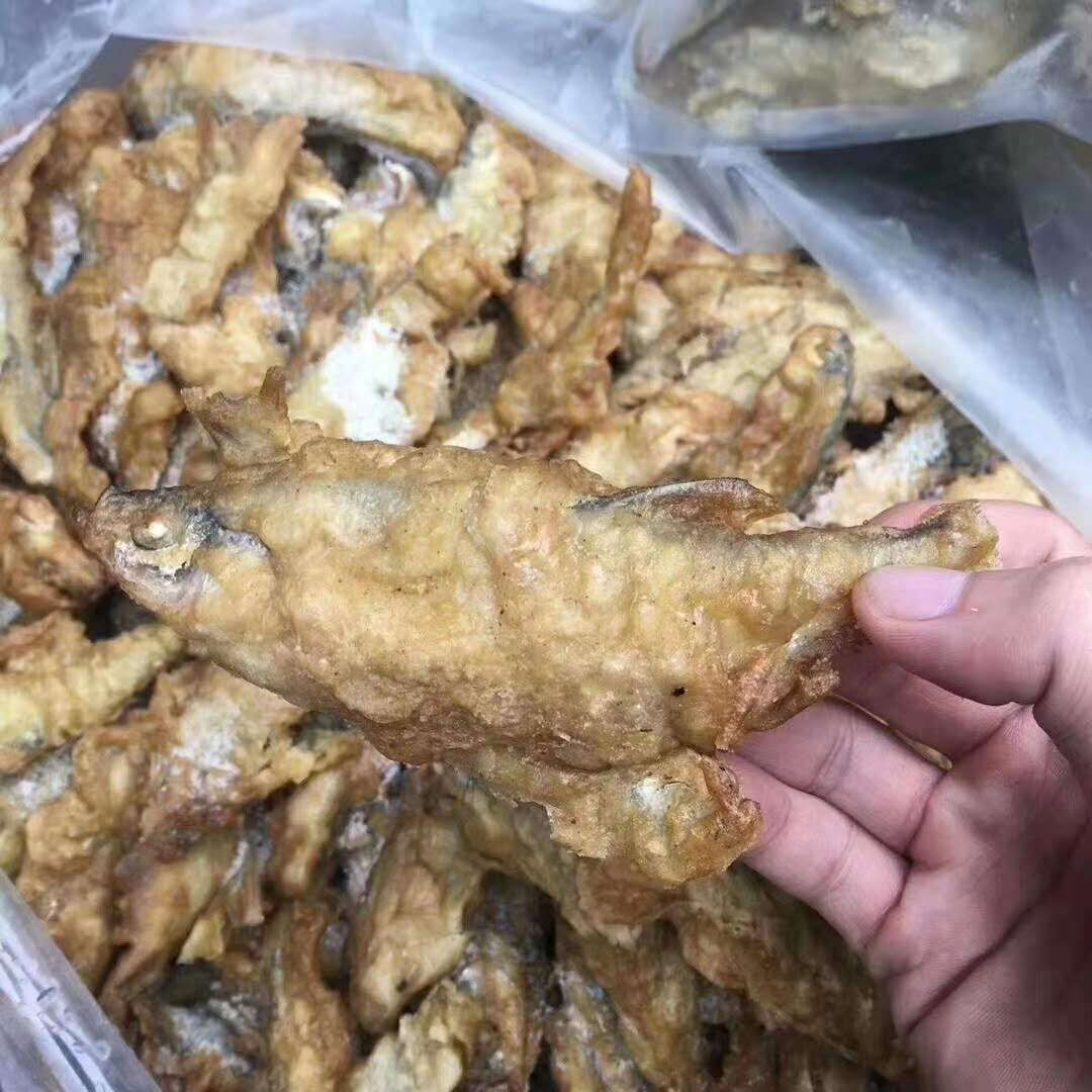 小龍魚批發(fā)的信息包括小龍魚的種類、供應商信息等：小龍魚批發(fā)價格 龍魚百科 第1張