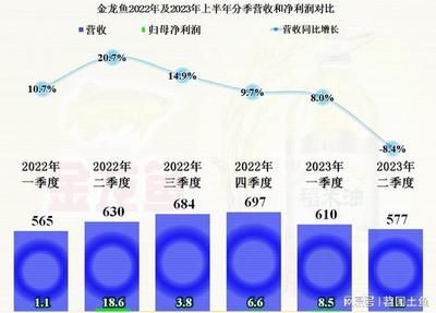 金龍魚的養(yǎng)殖成本和利潤取決于多種因素進(jìn)行了解和準(zhǔn)備：金龍魚養(yǎng)殖成本和利潤取決于多種因素