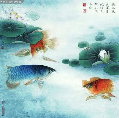 龍魚畫家陳盛中的作品可以命名為《龍魚圖》，可以命名為《紅龍》：龍魚畫家陳盛中的作品可以命名為《暢游江?！?，可以命名為《紅龍》 龍魚百科 第3張