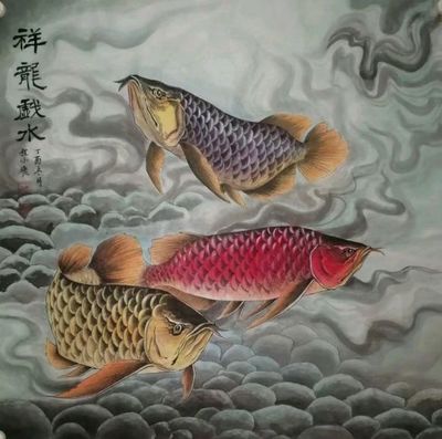 龍魚(yú)畫(huà)家陳盛中的作品可以命名為《龍魚(yú)圖》，可以命名為《紅龍》：龍魚(yú)畫(huà)家陳盛中的作品可以命名為《暢游江海》，可以命名為《紅龍》 龍魚(yú)百科 第1張