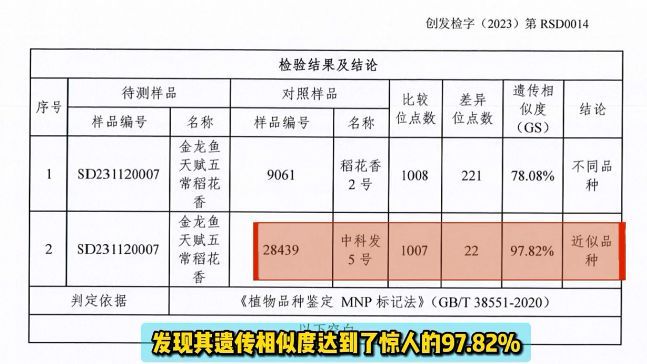 金龍魚的進口清關流程是怎樣的？：進口金龍魚需要一系列的清關文件包括但不限于但不限于：