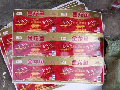 金龍魚在東莞有多家專賣店和經(jīng)銷商，沒有找到具體的業(yè)務(wù)聯(lián)系方式：金龍魚在東莞有多家專賣店和經(jīng)銷商 龍魚百科 第2張