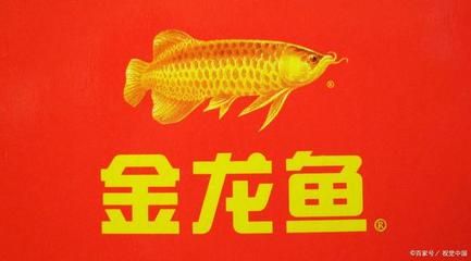 金龍魚(yú)運(yùn)輸前需要提前停止喂食嗎：金龍魚(yú)在運(yùn)輸前需要提前停止喂食嗎 龍魚(yú)百科 第3張