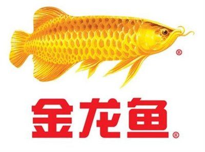 金龍魚的投資機(jī)會：金龍魚在大盤上漲時選擇了減倉金龍魚的未來潛力