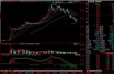 金龍魚的投資機(jī)會：金龍魚在大盤上漲時選擇了減倉金龍魚的未來潛力