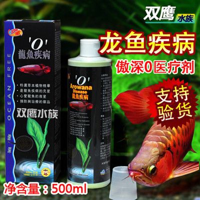 龍魚白蒙眼治療方法：龍魚白蒙眼怎么治療