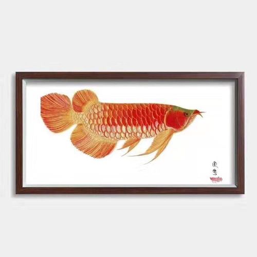 金龍魚(yú)黑白畫(huà)作品，金龍魚(yú)黑白畫(huà)全圖：關(guān)于金龍魚(yú)的黑白畫(huà)全圖，藝術(shù)家繪制金龍魚(yú)黑白畫(huà)全圖 龍魚(yú)百科 第2張