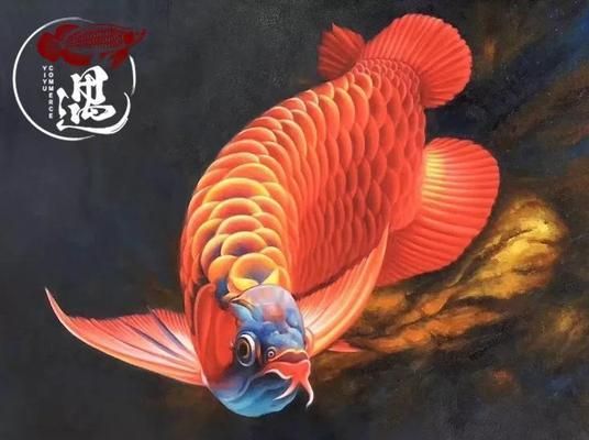 紅龍魚發(fā)色不佳的原因：紅龍魚養(yǎng)兩年了發(fā)色很差， 龍魚百科 第1張