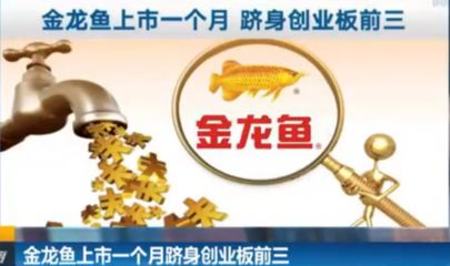 金龍魚接受機構調研的情況：國家糧食和物資儲備局領導會見益海嘉里金龍魚機構