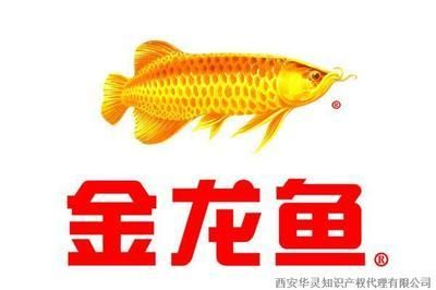 金龍魚接受機構調研的情況：國家糧食和物資儲備局領導會見益海嘉里金龍魚機構