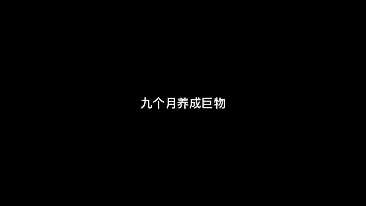 金雞暢天下評(píng)論：現(xiàn)在大概有多大的：九個(gè)月，金雞暢天下 觀賞魚論壇