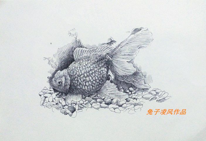 龍魚畫畫作品名稱怎么寫好看龍魚畫畫作品名稱怎么寫好看：龍魚畫畫作品名稱怎么寫好看龍魚畫作品名稱怎么寫好看