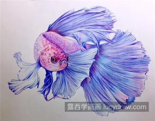 龍魚畫畫作品名稱怎么寫好看龍魚畫畫作品名稱怎么寫好看：龍魚畫畫作品名稱怎么寫好看龍魚畫作品名稱怎么寫好看