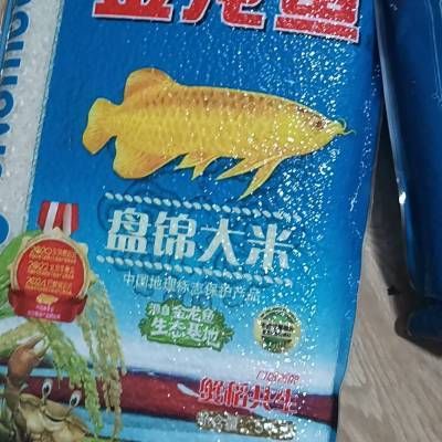 金龍魚飼養(yǎng)方法和注意事項，金龍魚寵物魚能吃嗎：金龍魚寵物魚能吃嗎， 龍魚百科 第3張