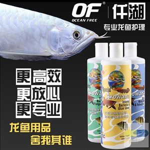 龍魚頑固性水霉病的治療方法：龍魚頑固性水霉病如何治療