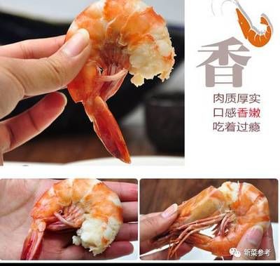 龍魚吃熟蝦怎么辦？：龍魚吃熟蝦好不好龍魚吃熟蝦好不好