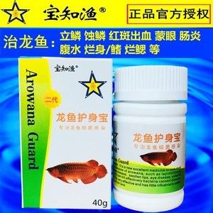 龍魚腸炎的治療方法：龍魚腸炎怎么治療