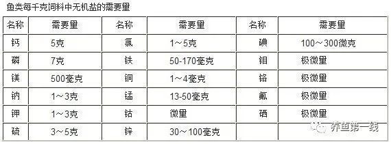 大白龍魚飼料怎么配大白龍魚飼料配制方法：大白龍魚飼料怎么配制大白龍魚飼料怎么配制飼料的信息 龍魚百科 第2張