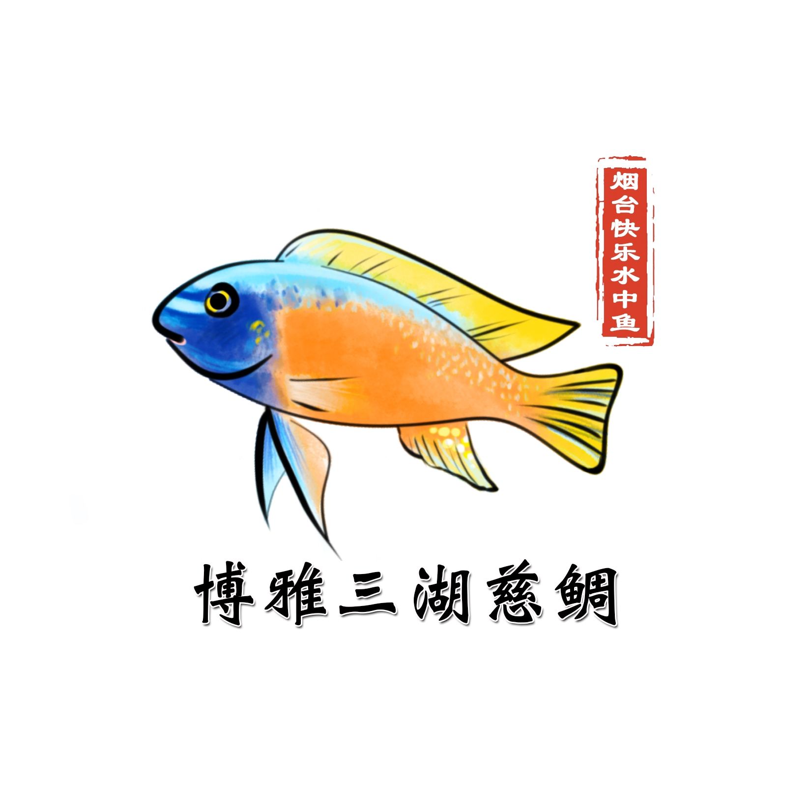 記錄這一刻，煙臺快樂水中魚博雅三湖慈鯛評論：新氣象：新頭像新氣象，玩魚也要玩出文化底蘊 觀賞魚論壇 第1張