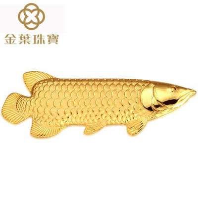 純金龍魚多少錢金龍魚價格受多種因素影響金龍魚價格：純金金龍魚多少錢一只 龍魚百科 第3張