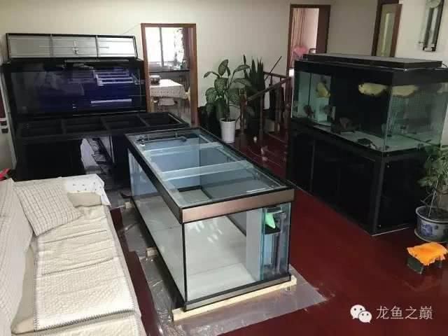 龍魚之巔魚缸制作的關(guān)鍵信息和注意事項和注意事項：關(guān)于龍魚之巔魚缸制作的一些關(guān)鍵信息和注意事項 龍魚百科 第1張