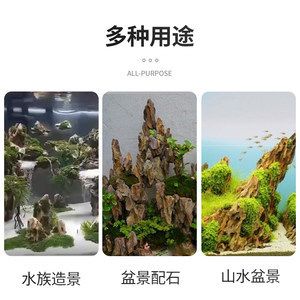 虎皮魚缸造景的藝術(shù)與技巧虎皮魚缸造景的藝術(shù)與技巧：虎皮魚缸造景技巧 虎魚百科 第2張