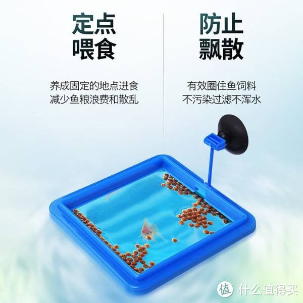 虎門水族館探秘虎門水族館探秘虎門魚缸定制的藝術(shù)：東莞市虎門慕華五金配件 虎魚百科 第2張