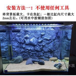 虎魚色彩的秘密你知道嗎？：色彩心理學選擇虎魚缸背景選擇3d仿真背景板美觀且逼真 虎魚百科 第2張