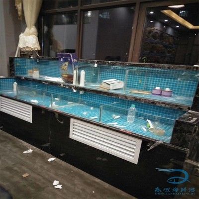 自制海鮮池魚缸的材料清單：海鮮池魚缸制作原理和適用場景的相關(guān)信息搜索結(jié)果整理 魚缸百科 第3張