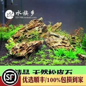 虎皮石魚(yú)缸造景的藝術(shù)與技巧：水族箱造景的藝術(shù)與技巧