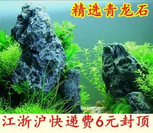 虎皮石魚(yú)缸造景的藝術(shù)與技巧：水族箱造景的藝術(shù)與技巧