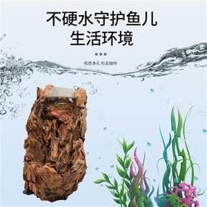 虎皮石魚(yú)缸造景的藝術(shù)與技巧：水族箱造景的藝術(shù)與技巧