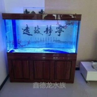 河南固始縣賣魚缸店鋪：固始縣賣魚缸的店鋪 魚缸百科 第1張