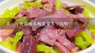 虎斑魚(yú)觀賞魚(yú)混養(yǎng)時(shí)需要注意控制水質(zhì)和水質(zhì)的要求：如何選擇虎斑魚(yú)混養(yǎng)？ 虎魚(yú)百科