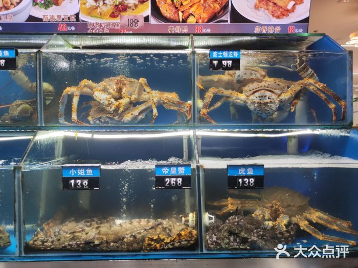 虎魚的養(yǎng)殖技巧，：虎魚是一種營養(yǎng)豐富的海鮮，具有多種健康益處