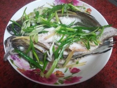 黑虎斑魚的營養(yǎng)成分與健康益處：金虎斑魚的養(yǎng)殖技術(shù)