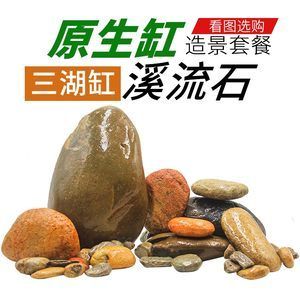 魚缸布景的技巧：水草造景的藝術(shù)哲學(xué) 虎魚百科