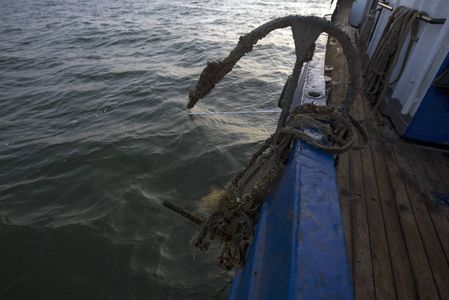 ?；Ⅳ~的生活習性：水虎魚的毒性研究