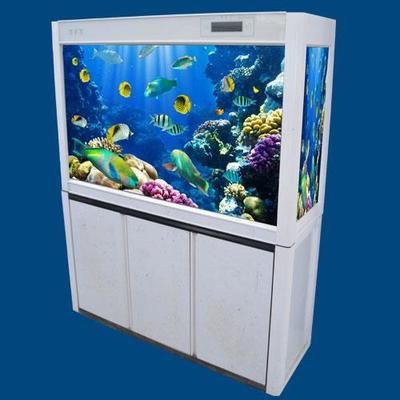 山西海之星水族工藝制品有限公司魚缸風(fēng)水布局指南：山西海之星水族工藝制品有限公司工作人員建議魚缸擺放位置 魚缸百科 第1張