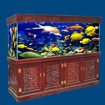 山西海之星水族工藝制品有限公司魚缸風(fēng)水布局指南：山西海之星水族工藝制品有限公司工作人員建議魚缸擺放位置 魚缸百科 第4張