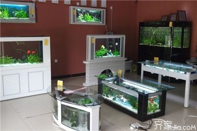 店內(nèi)魚缸的擺放位置對于店鋪風(fēng)水有著重要的影響：店內(nèi)魚缸擺放位置對于店鋪風(fēng)水有著重要的影響 魚缸百科 第1張