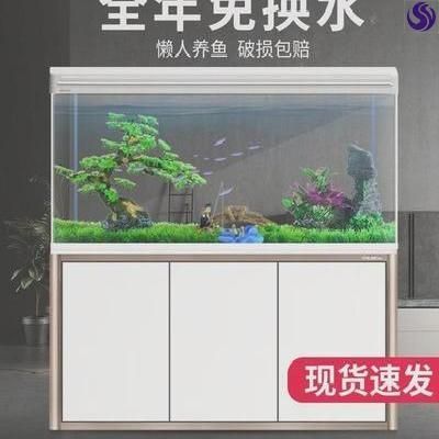 魚缸換水器選擇合適的換水方法適用于定制魚缸柜的換水方法：定制魚缸柜的換水方法 魚缸百科 第1張