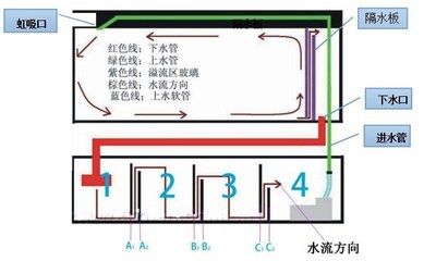 魚缸下水管咕嚕咕嚕聲怎么辦？：底濾魚缸下水管咕嚕聲的科學(xué)原理和解決方法和解決方法 魚缸百科 第4張