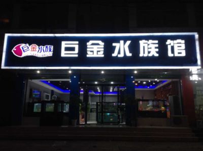 廣州魚缸專賣店推薦28篇智腦大模型提煉5個關(guān)鍵詞：廣州魚缸專賣店28篇智腦大模型提煉5個關(guān)鍵詞 魚缸百科 第1張